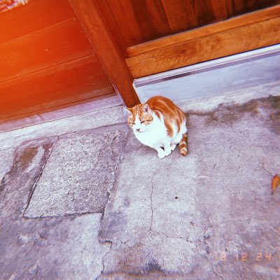 __aoooooi's profile picture. 🎵 RADWIMPS/ 米津玄師/ back number/ 嵐 ▶️ キヨ/ 最終兵器俺達/ TOP4/ QuizKnock/ 東海オンエア 🎮 テトぷよ/ スプラトゥーン/ どうぶつの森 👤 ナイチンゲールダンス リプ送ったり絵を描いたり