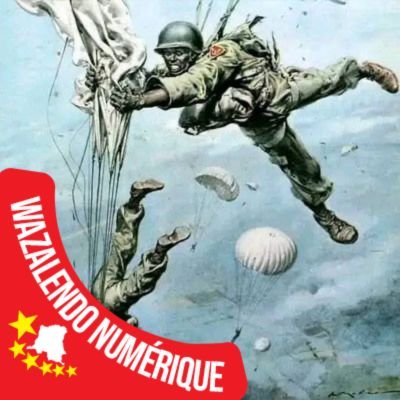 MambaNoir_FARDC's profile picture. 