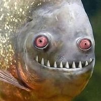 An Angry Troll (@kromaticorb) 's Twitter Profile