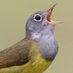 Aves (@avesinderpal) Twitter profile photo Aves (@avesinderpal) Twitter profile photo