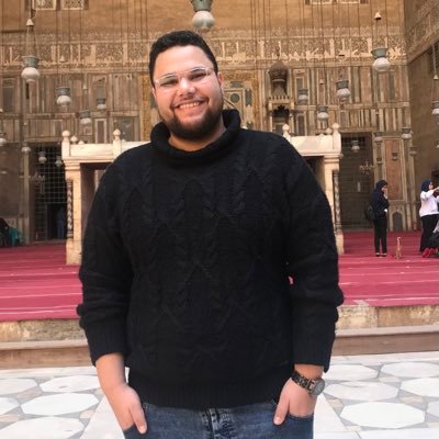 MahmoudShawkyy_'s profile picture. DataDetective
