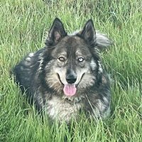 Roken (@rokeniswatching) 's Twitter Profile Photo Roken (@rokeniswatching) 's Twitter Profile Photo
