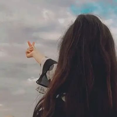 SiblingsCaught's profile picture. 