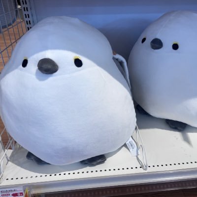 だれさんのプロフィール画像