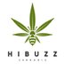 Hibuzz Cannabis (@hibuzzretail) Twitter profile photo Hibuzz Cannabis (@hibuzzretail) Twitter profile photo