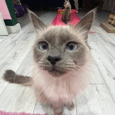 ryonsworld's profile picture. IG- @ryonsworld