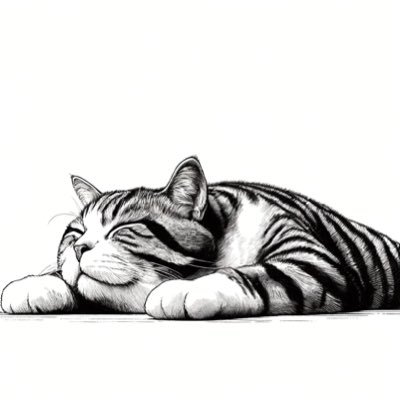 Jy10734057's profile picture. 