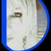 🇱🇷🇮🇱🇨🇵Aline🕊💌 (@_aline_blc_) Twitter profile photo 🇱🇷🇮🇱🇨🇵Aline🕊💌 (@_aline_blc_) Twitter profile photo