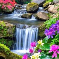 Beauty Nature (@naturebeauty993) 's Twitter Profile Photo Beauty Nature (@naturebeauty993) 's Twitter Profile Photo