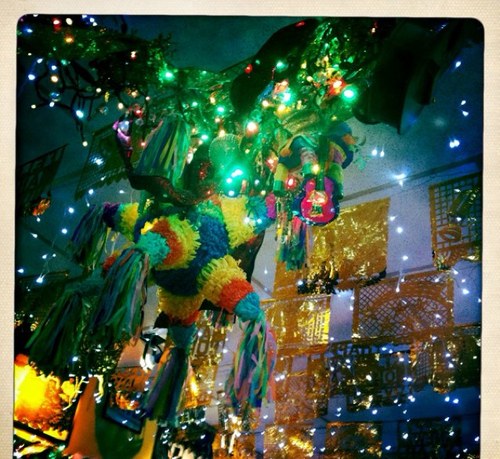 moni_baroni's profile picture. 