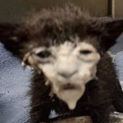 fef3lips's profile picture. 