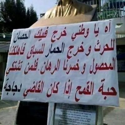 MMohamed47534's profile picture. 