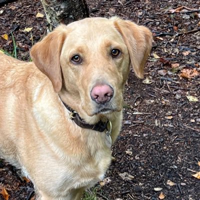 lamb_paul71841's profile picture. 