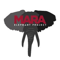 Mara Elephant Project (@maraelephant) 's Twitter Profile Photo Mara Elephant Project (@maraelephant) 's Twitter Profile Photo