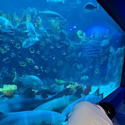 MiguelM96623704's profile picture. 