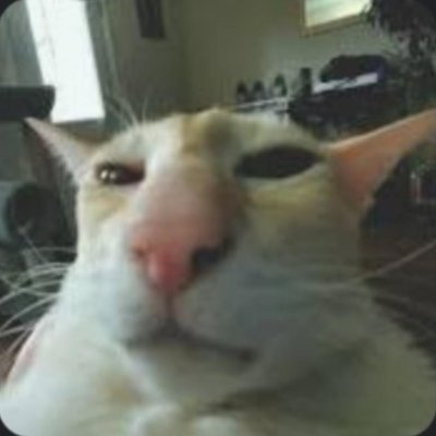 Test Analyst - Quality Assurance (QA) 👨💻
Skateboard 4 Ever 🛹
CSGO Player - Legendary Eagle Master 🔫🦅 Águia 2