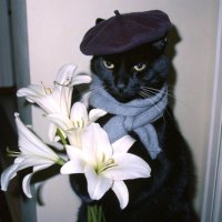 b (@memento_4) 's Twitter Profile