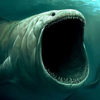 OzanYaz1139166's profile picture. #Ethereum #Bitcoin