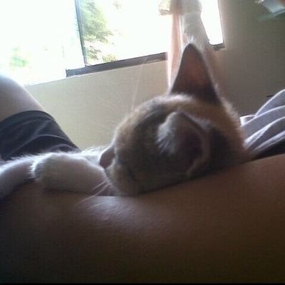 exbichiitoo's profile picture. THE TRUTH IS OUT THERE. 👽

                                 Childless Cat Lady. 🐈