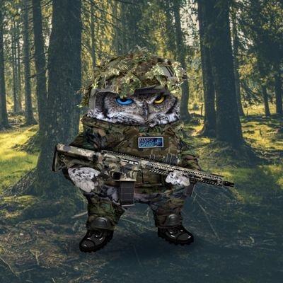 chrisophren's profile picture. #NAFO #fella // #RaiderNation // Handwerk // Games // Star Trek //12yearsveteran - Arty, Drones, Recce// #wirsindmehr // #fckafd //📯