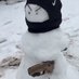 snowman (@snowmanllc) Twitter profile photo snowman (@snowmanllc) Twitter profile photo
