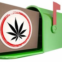 mocss420 (@mocss420) Twitter profile photo