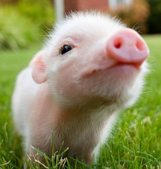 tronics25's profile picture. 