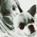 ValePiccinini (@valepiccinini) Twitter profile photo ValePiccinini (@valepiccinini) Twitter profile photo