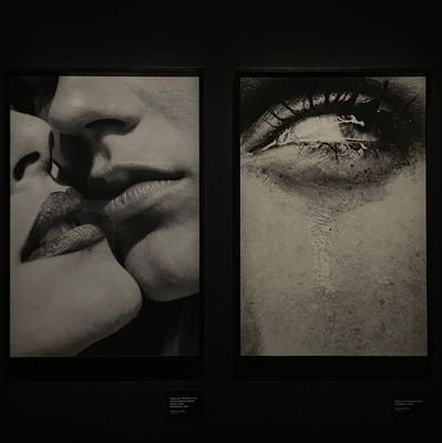 aysar0154's profile picture. Değmiyor bazen uğruna yorulduklarımız..

Gt yapıyorum arkadaşlar ✨