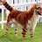 NottsDogs's profile image