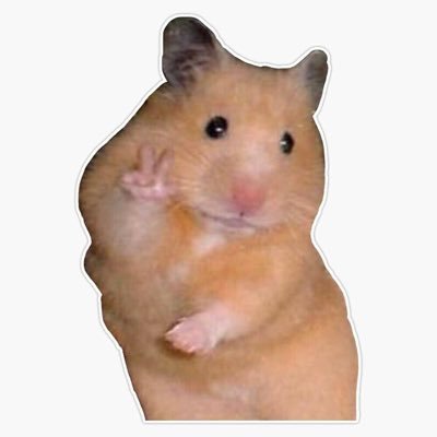 abcdefg_009657's profile picture. 