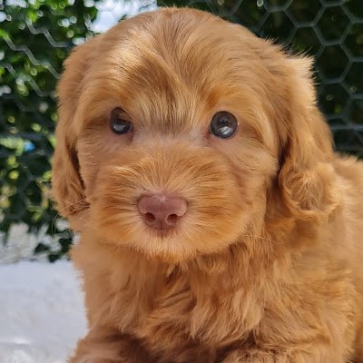 BmPaterson7468's profile picture. 