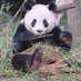 sév 🐼🌹🦋 (@severinepicard) Twitter profile photo sév 🐼🌹🦋 (@severinepicard) Twitter profile photo