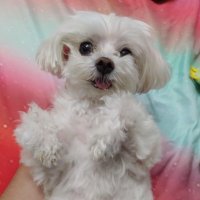 ObiDaDaddy (@obidelacruz) 's Twitter Profile Photo