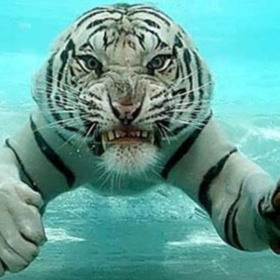 slickroQ's profile picture. Dedicated to my personal reset.

Ego is a brutal thug, but the spirit is a humble servant.

"And the spirit and the body are the soul of man."