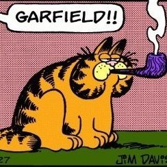 PvtCheesecake's profile picture. 