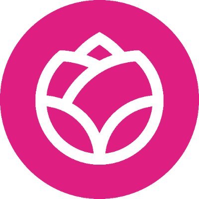 Entregas el mismo día, de lunes a domingo, a todo México📍 Cuenta administrada por mí (Andrea🤪) 12% OFF con el código: GERBERATW (aplican restricciones)