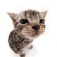 paluni♡ (@paluni_) 's Twitter Profile Photo paluni♡ (@paluni_) 's Twitter Profile Photo