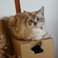H (@lms) 's Twitter Profile