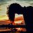 MNY31408481's profile image
