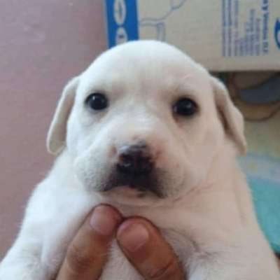 83734747O7329's profile picture. For my interests — art, writing, code, games