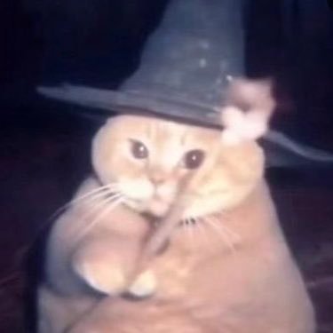 Ricosuavay11's profile picture. fuck Birgz