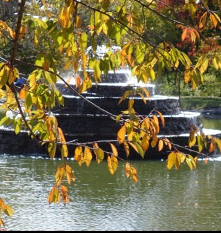 FrederickMDtips's profile picture. An open discussion of topics surrounding Frederick MD