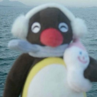 365pawtygirl's profile picture. 