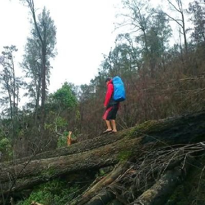 Arek Malang