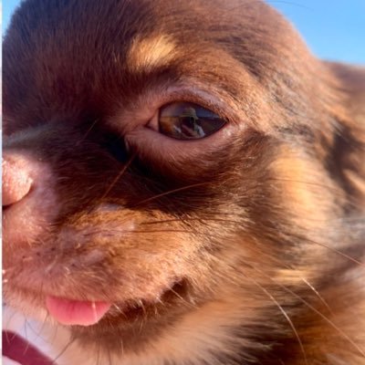 OR_K2's profile picture. 好きなものに注ぐ惜しみない情熱と愛をK😎.°🌹