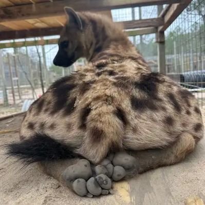 Matthew68638627's profile picture. '*•.¸♡ ♡¸.•*' *•.¸♡ ♡¸.•*' *•.¸♡ ♡¸.•*''*•.¸♡ ♡¸.•*'
Don't mind me, I'm no one special😊  *•.¸♡ ♡¸.•*' *•.¸♡ ♡¸.•*''*•.¸♡♡¸.•*'