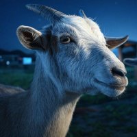 ZM (Ø,G) (@just__zm) 's Twitter Profile