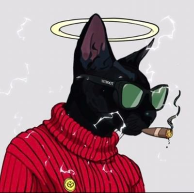 yWQ4lJfMpt25943's profile picture. 