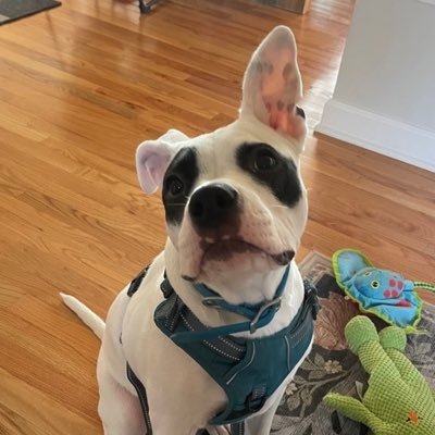 jessieHolli2002's profile picture. 